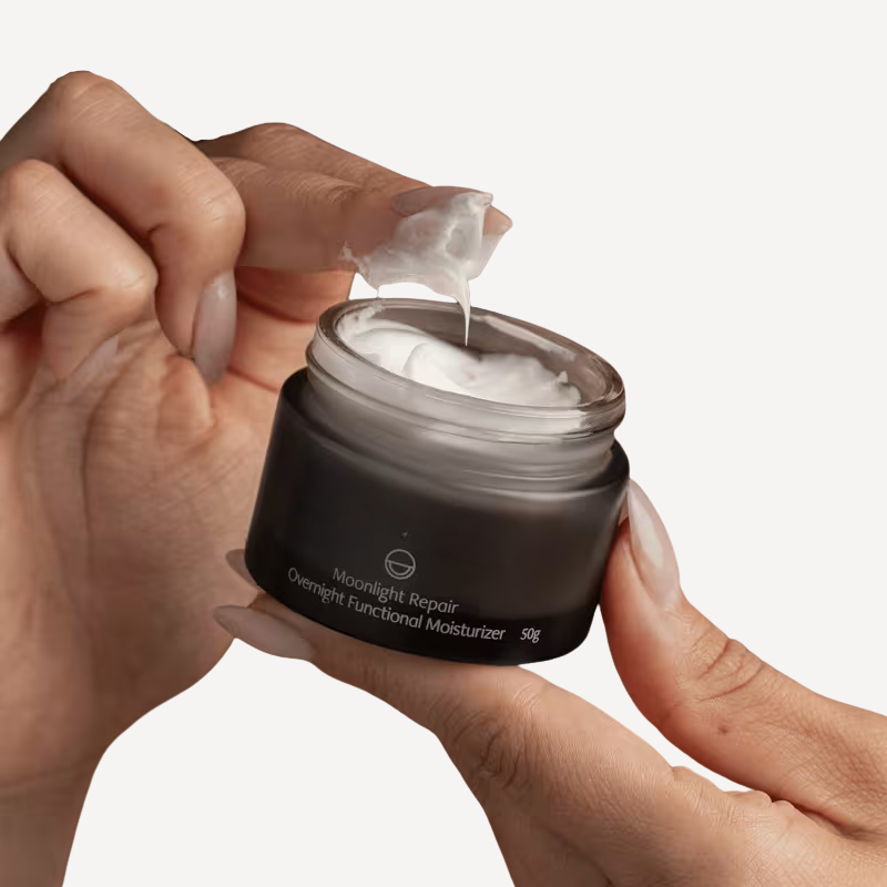 Renovación Nocturna